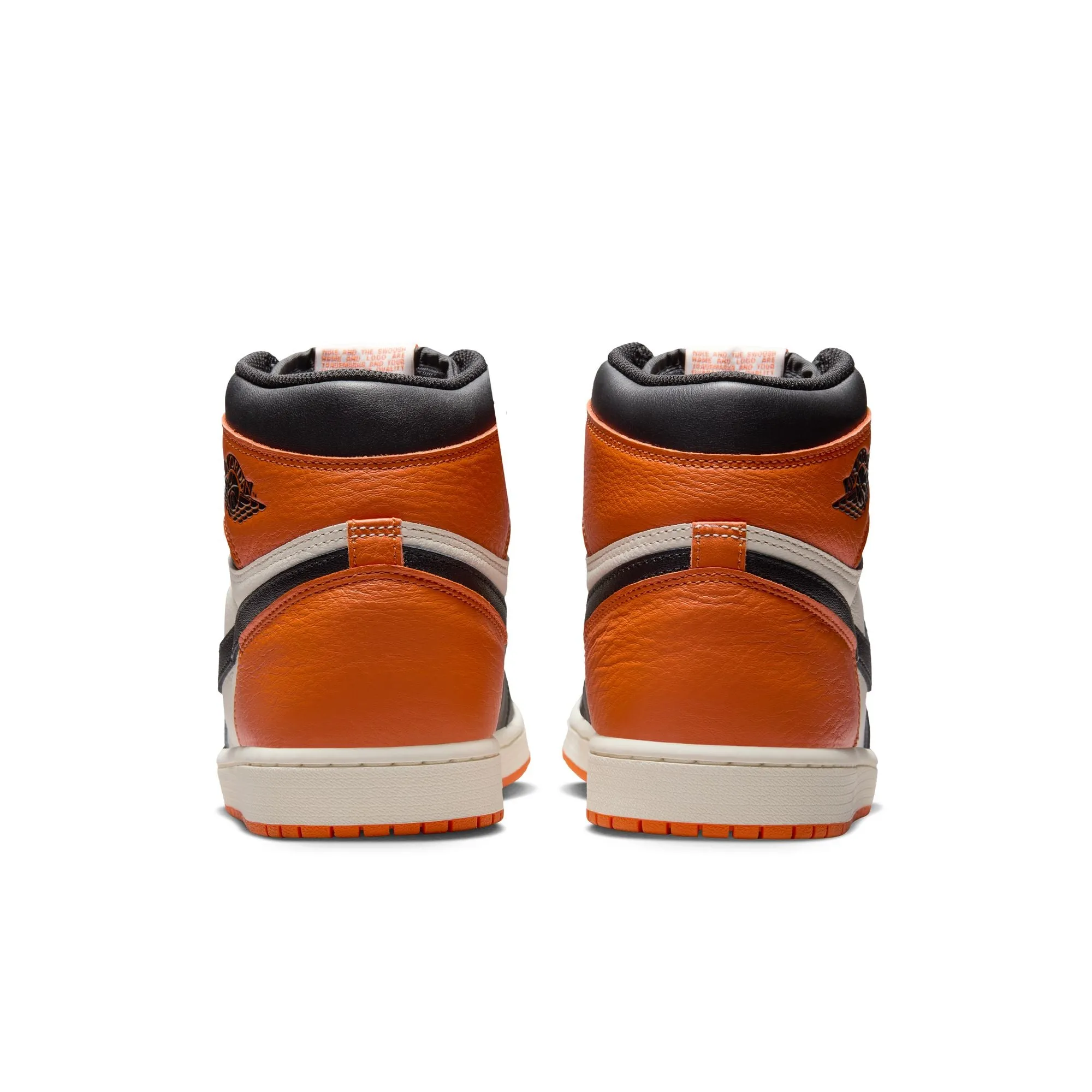 Air Jordan 1 Retro High OG Family Fit