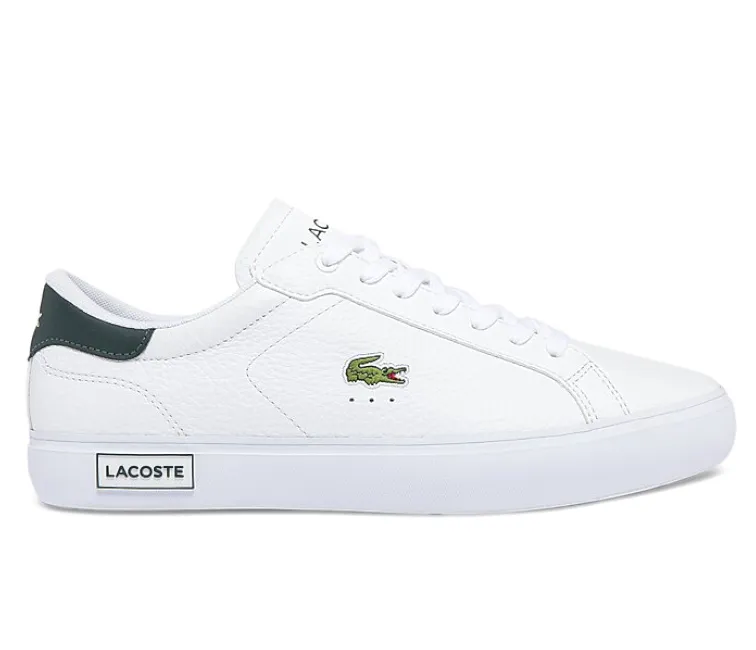 Floral Pop Men's Lacoste Powercourt 0721 2 SMA (White/Dark Green)