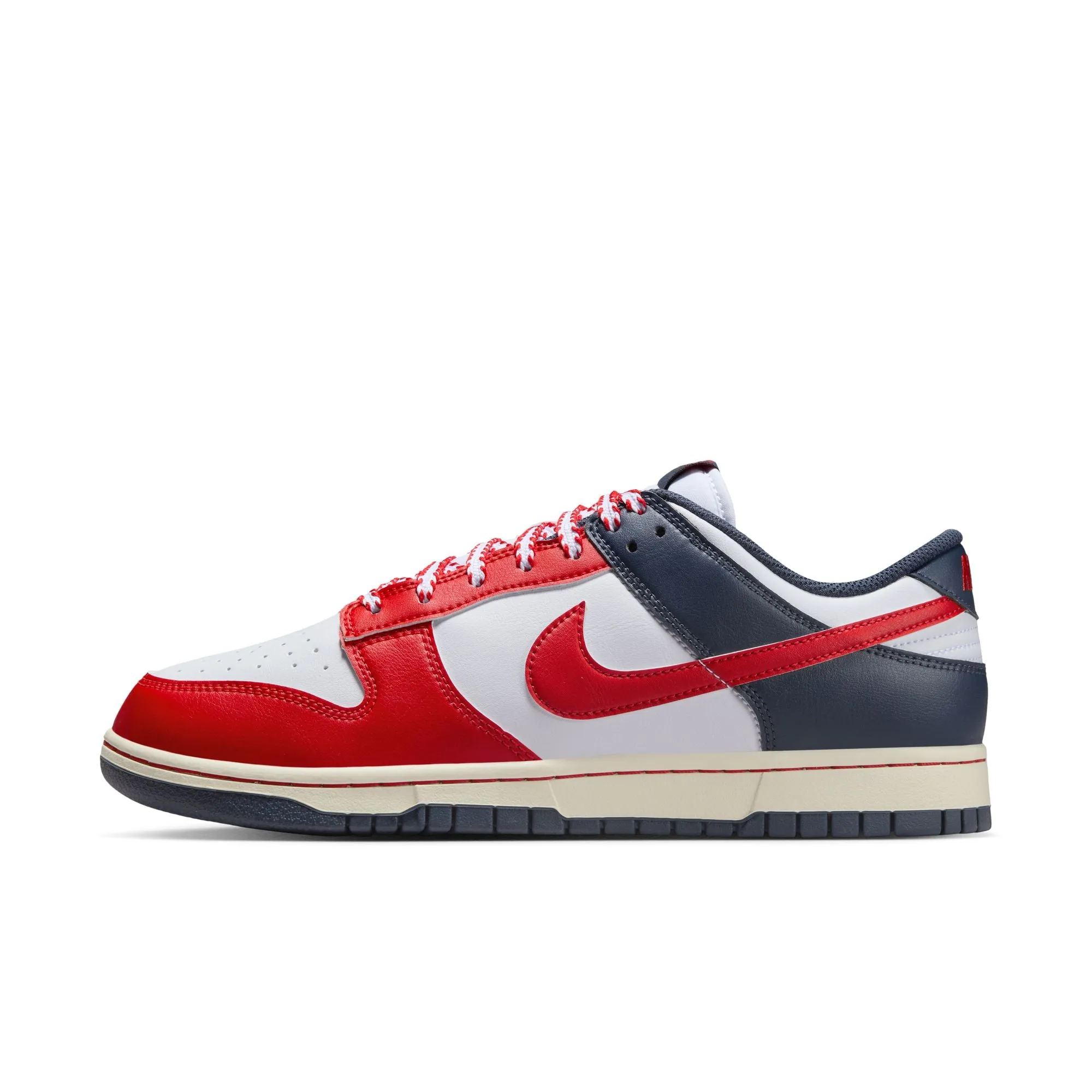 Nike Dunk Low Retro Energy Walk