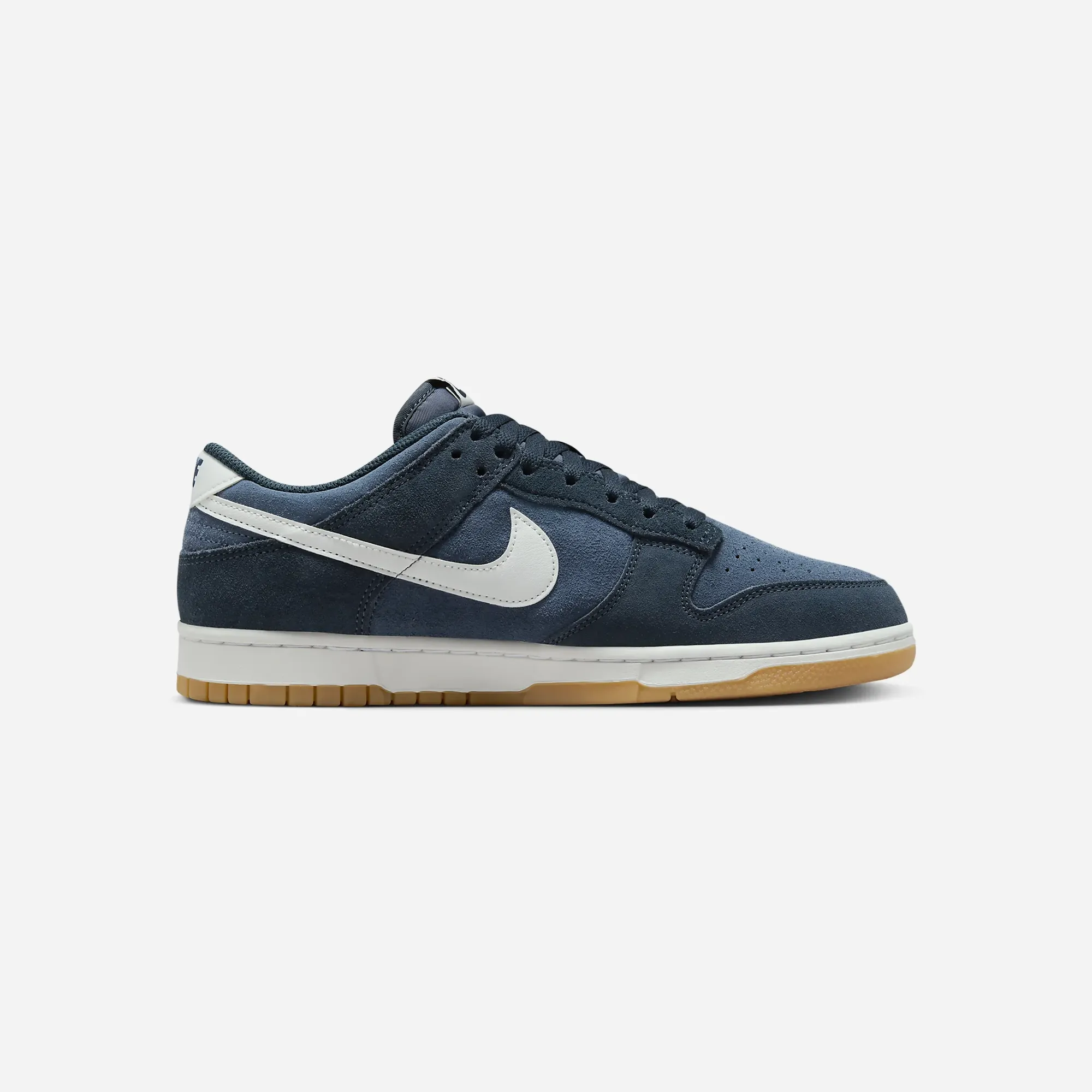 Nike Dunk Low SE Monsoon Blue AllPurpose