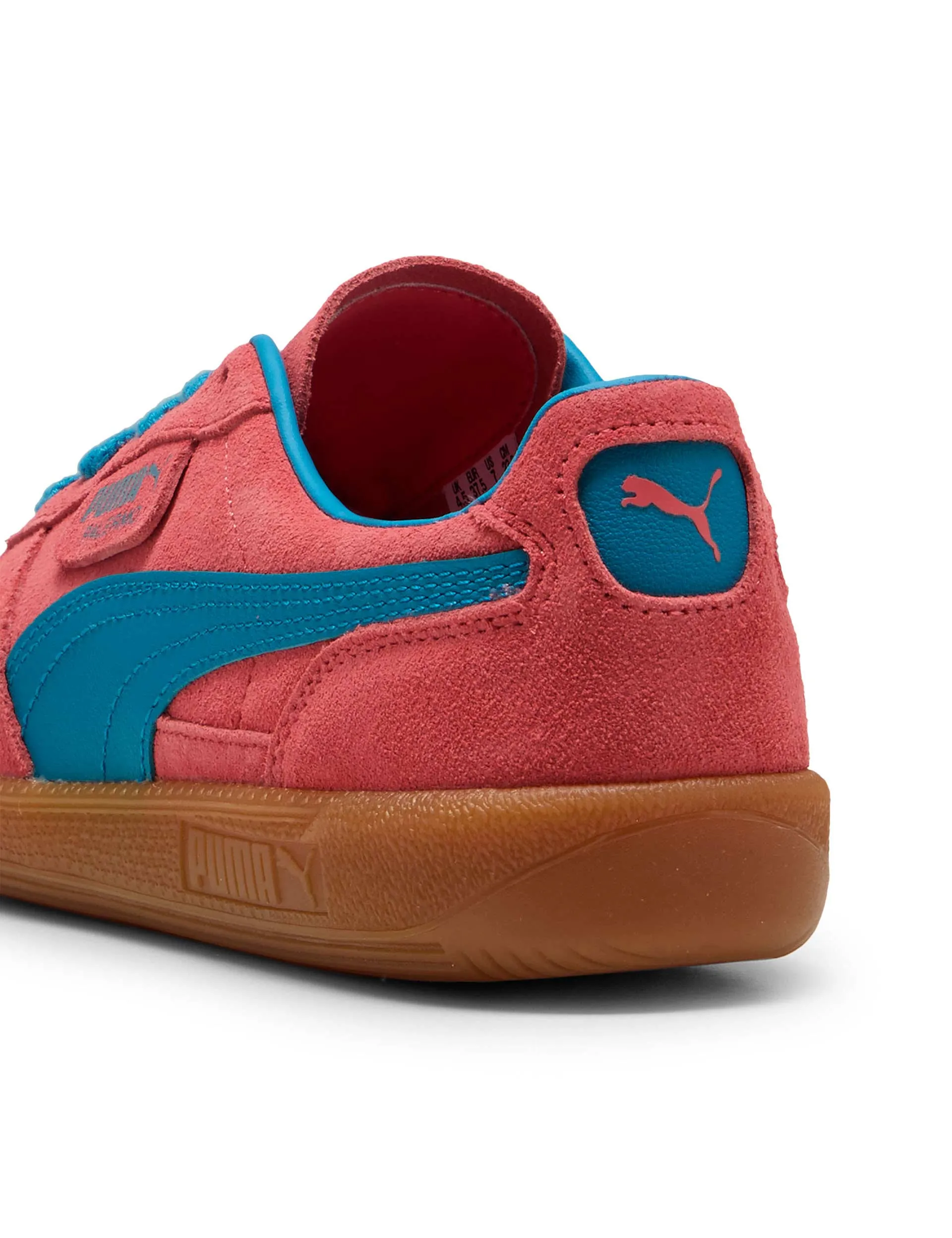 School friendly Palermo Sneakers - Peach Frost/Tropical Blue