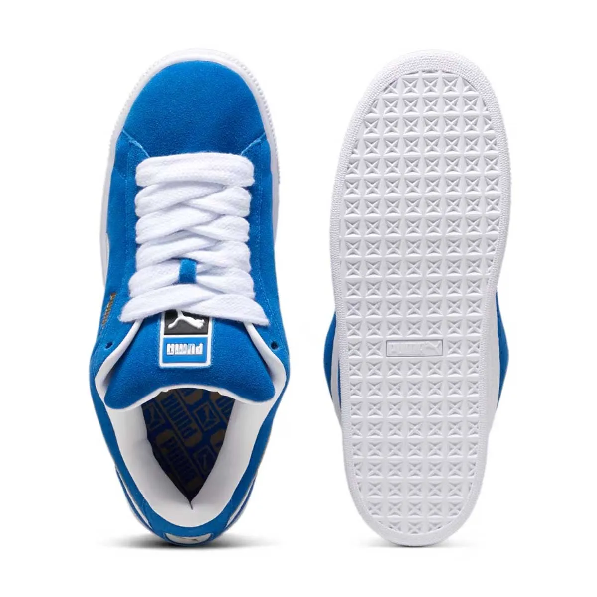 Versatile Suede XL 'Team Royal'