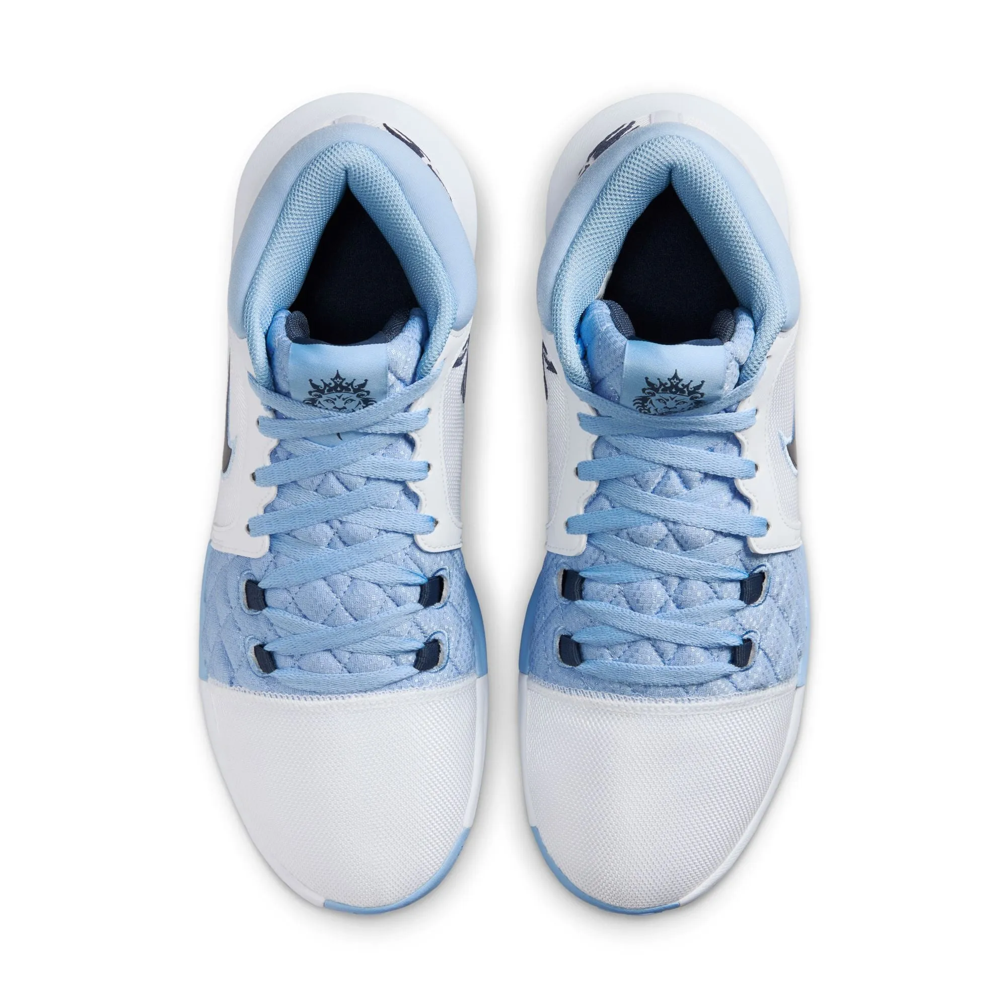 LEBRON WITNESS VIII EP Park Step