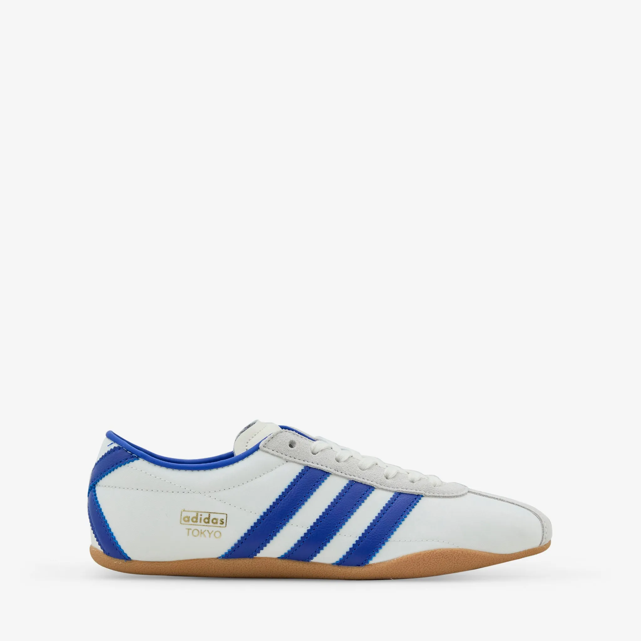 Women's Tokyo Off White | Team Royal Blue | Gold Metallic Street Explorer Trendy Daily